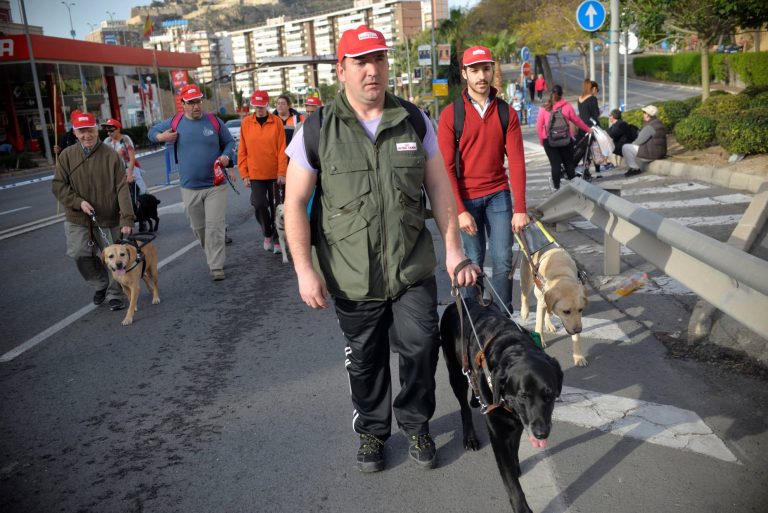 Un hombre con chaleco verde camina con su perro guía labrador negro en arnés; detrás, más caminantes con gorra roja.