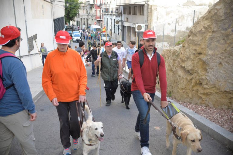 Dos personas caminan por la acera, cada una con su perro guía labrador claro en arnés.