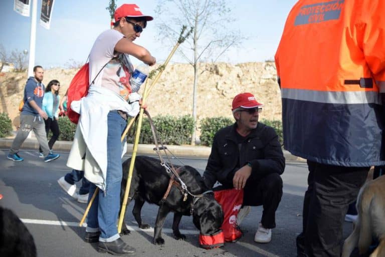 Un hombre con gorra roja se agacha junto a un perro guía labrador negro durante una marcha.