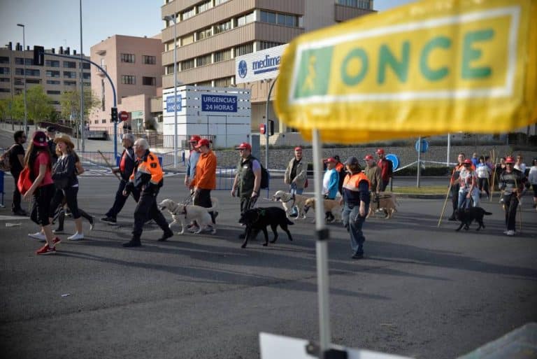 Marcha por una avenida con perros guía y una bandera amarilla de la ONCE en primer plano.