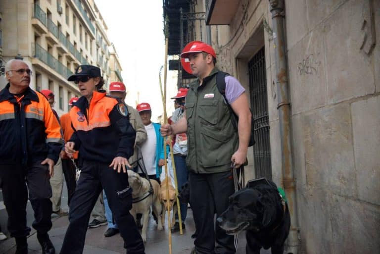 Grupo con gorra roja y chalecos naranjas por una calle del casco antiguo, con un perro guía negro.