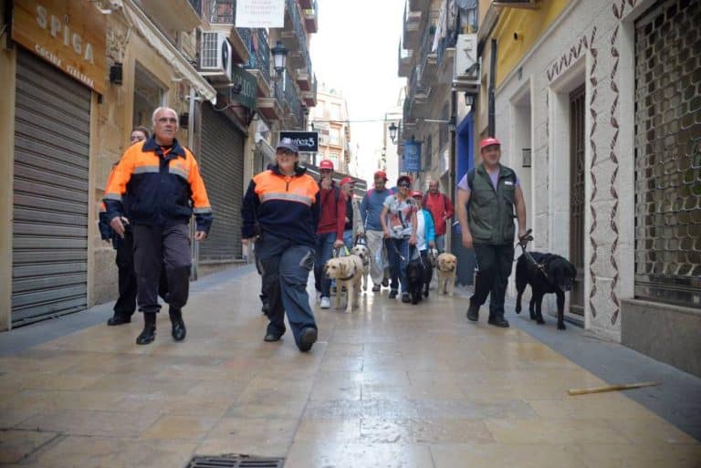 Fila de caminantes con perros guía por una calle peatonal de suelo brillante.