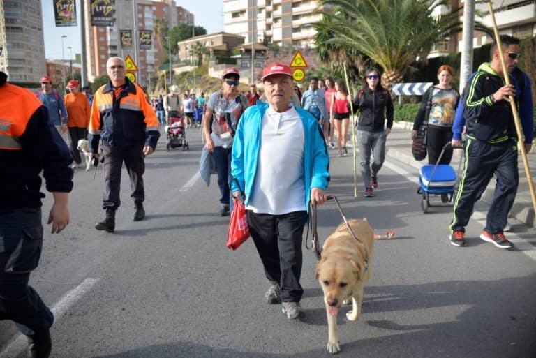 Un hombre con chaqueta azul y gorra roja camina con su perro guía labrador claro entre otros peregrinos.