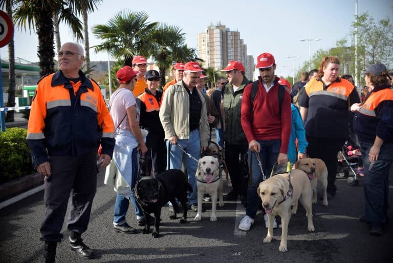 Grupo de caminantes con gorra roja y varios perros guía labradores, acompañados por voluntarios de protección civil.