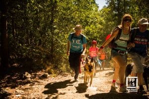 Camino de Santiago 2017: el grupo de la asociación con sus perros guía
