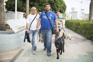 Dos hombres caminan por un paseo; uno de ellos con su perro guía labrador negro, y detrás otro labrador claro.