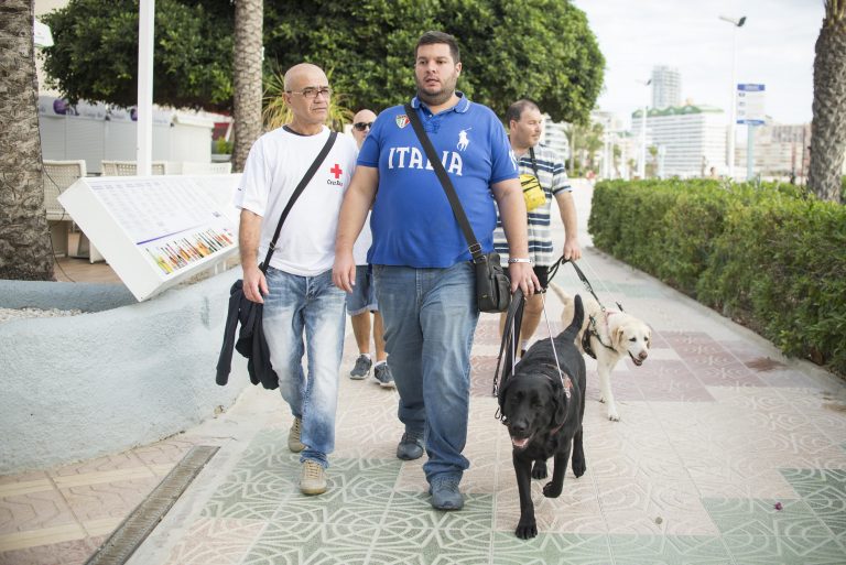 Dos hombres caminan por un paseo; uno de ellos con su perro guía labrador negro, y detrás otro labrador claro.