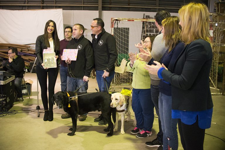Grupo con regalos envueltos en papel rosa y dos perros guía, uno negro y uno claro; varias personas aplauden.