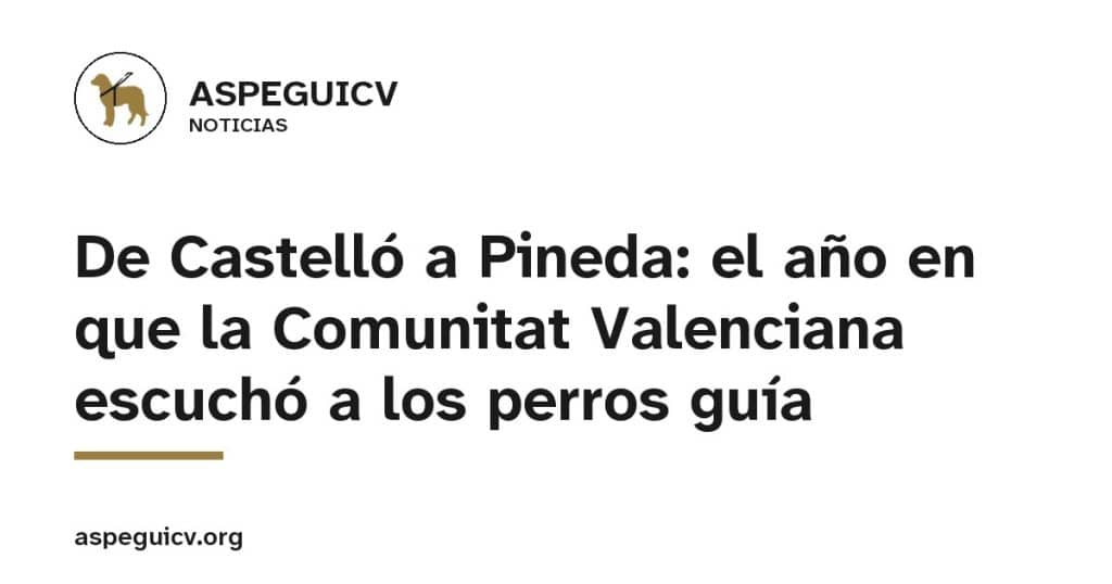 ASPEGUICV, Noticias: De Castelló a Pineda: el año en que la Comunitat Valenciana escuchó a los perros guía