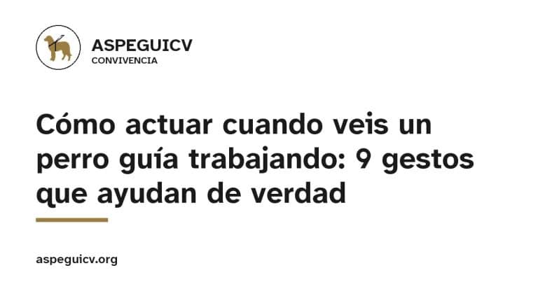 ASPEGUICV, Convivencia: Cómo actuar cuando veis un perro guía trabajando: 9 gestos que ayudan de verdad